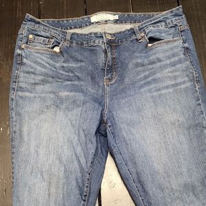 Torrid Jeans